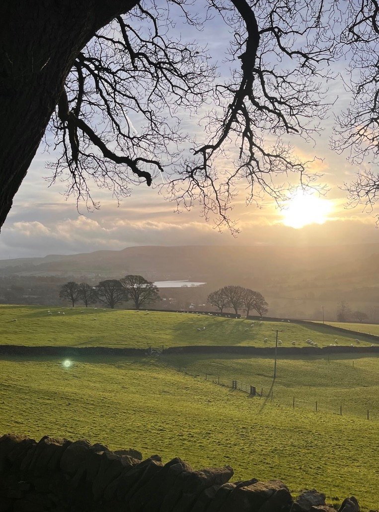 Low winter sun over green Peak District fields, dry-stone walls and distant hills, framed by bare tree branches